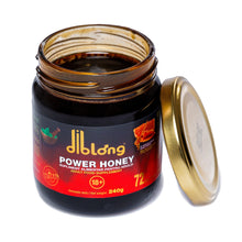 Diblong Power Honey mare